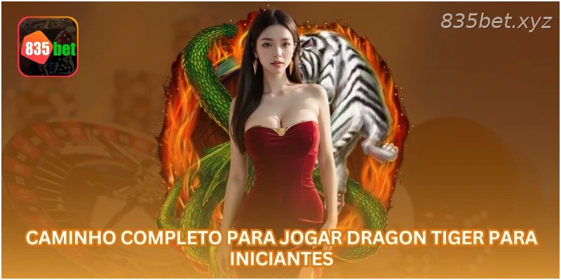 Caminho completo para jogar Dragon Tiger para iniciantes.